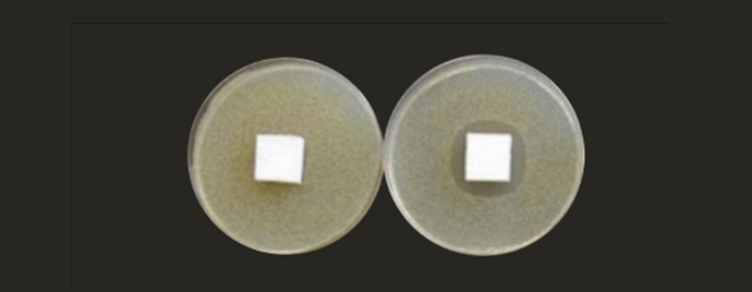 币游·国际(中国游)官方网站