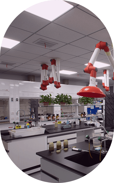 币游·国际(中国游)官方网站