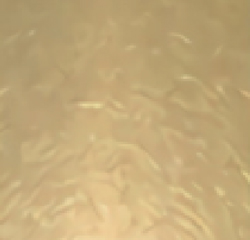 币游·国际(中国游)官方网站